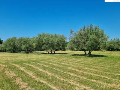 Haus kaufen in 52440 Porec (Bild 1)