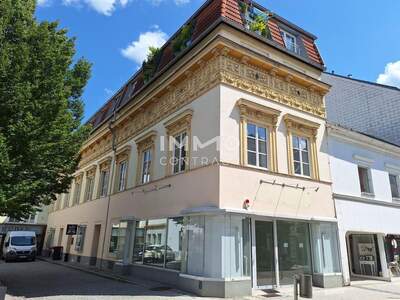 Altbauwohnung mieten in 4600 Wels (Bild 2)