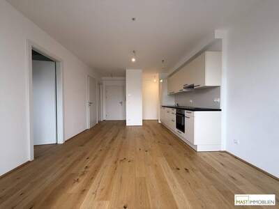 Wohnung mieten in 2104 Spillern