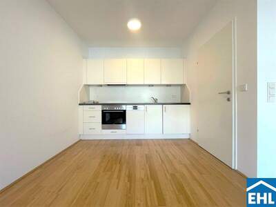 Terrassenwohnung mieten in 1100 Wien (Bild 2)