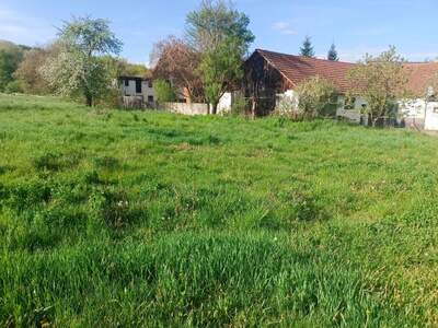 Grundstück kaufen in 7542 Sulz (Bild 5)