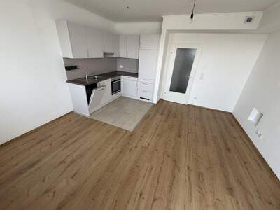 Terrassenwohnung mieten in 2334 Vösendorf (Bild 2)