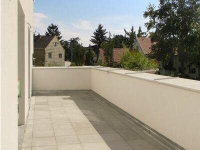 Terrassenwohnung mieten in 1220 Wien (Bild 3)