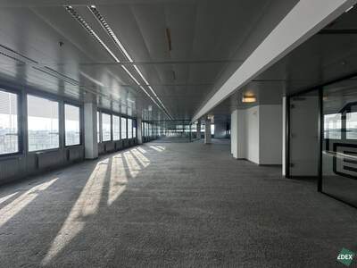 Gewerbeobjekt mieten in 1220 Wien