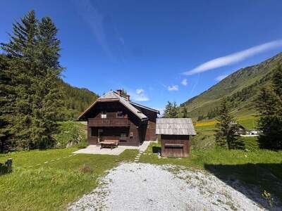 Anlageobjekt kaufen in 8953 Planneralm (Bild 2)