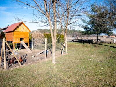 Haus mit Garten kaufen in 8544 Pölfing (Bild 4)