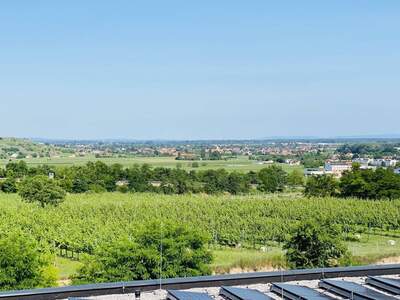 Anlageobjekt mieten in 3500 Krems