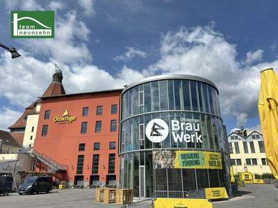 Terrassenwohnung kaufen in 1160 Wien (Bild 5)