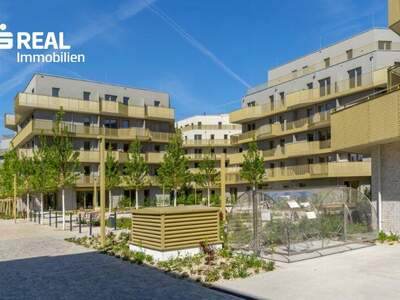 Terrassenwohnung kaufen in 1210 Wien (Bild 1)