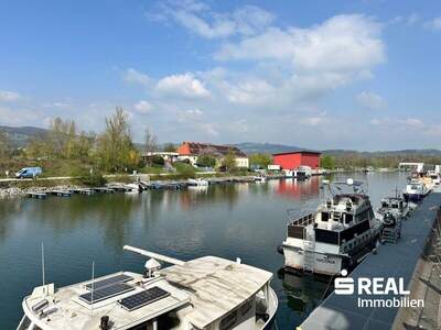 Terrassenwohnung kaufen in 4020 Linz (Bild 4)