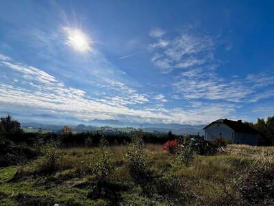 Grundstück kaufen in 4421 Aschach