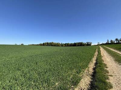 Gewerbeobjekt kaufen in 4622 Eggendorf