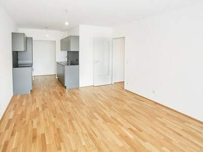 Apartment provisionsfrei mieten in 1220 Wien