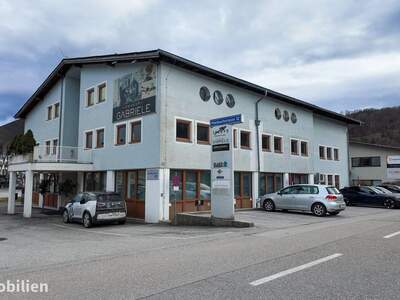 Anlageobjekt kaufen in 5101 Bergheim (Bild 1)