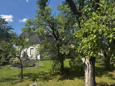 Haus kaufen in 2620 Neunkirchen