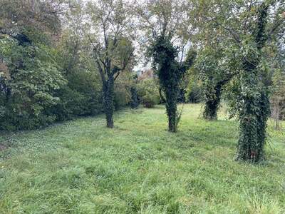 Grundstück kaufen in 1220 Wien