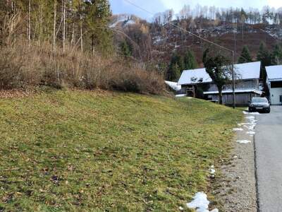Grundstück kaufen in 3343 Hollenstein