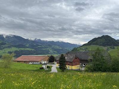 Gewerbeobjekt kaufen in 8962 Gröbming