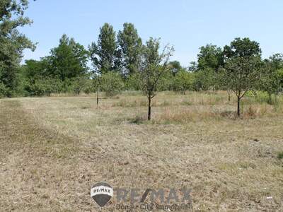 Grundstück kaufen in 2011 Sierndorf (Bild 1)