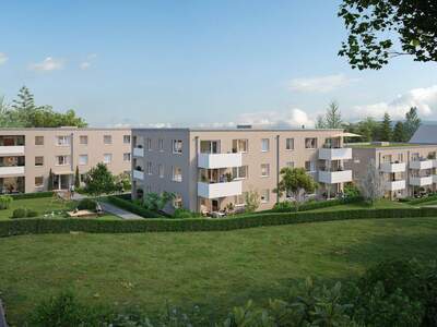 Wohnung mieten in 4564 Klaus