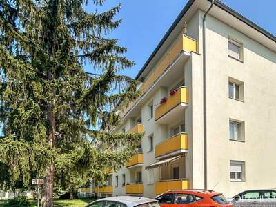 Wohnung kaufen in 2500 Baden (Bild 1)