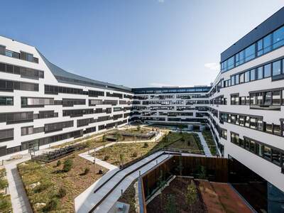 Gewerbeobjekt mieten in 1020 Wien (Bild 3)