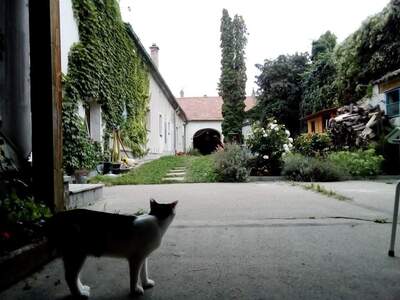 Mietwohnung in 2410 Hainburg