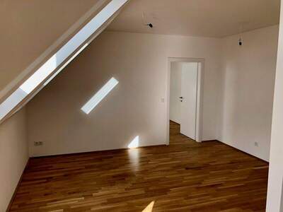 Terrassenwohnung mieten in 2700 Wr. Neustadt (Bild 1)