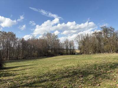 Grundstück kaufen in 4942 Gurten