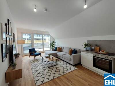 Terrassenwohnung mieten in 1110 Wien (Bild 1)