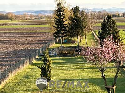 Einfamilienhaus kaufen in 3464 Hausleiten (Bild 5)
