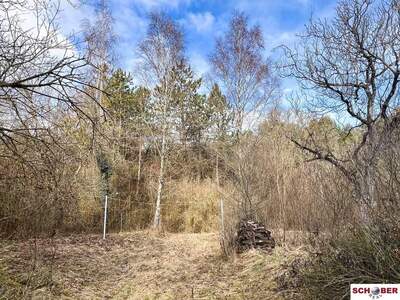 Grundstück kaufen in 2551 Enzesfeld