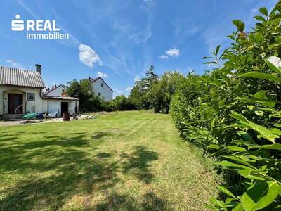 Grundstück kaufen in 2602 Blumau (Bild 1)