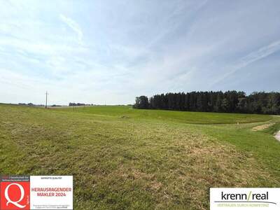 Grundstück kaufen in 4541 Adlwang