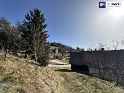 Grundstück kaufen in 8121 Deutschfeistritz (Bild 5)