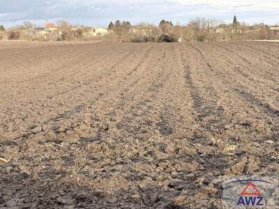 Gewerbeobjekt kaufen in 3464 Pettendorf