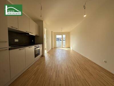 Terrassenwohnung mieten in 1200 Wien (Bild 3)