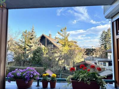 Wohnung mit Balkon kaufen in 2020 Hollabrunn