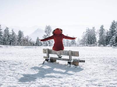 Wohnung kaufen in 9565 Ebene Reichenau