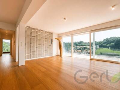 Wohnung kaufen in 5325 Plainfeld