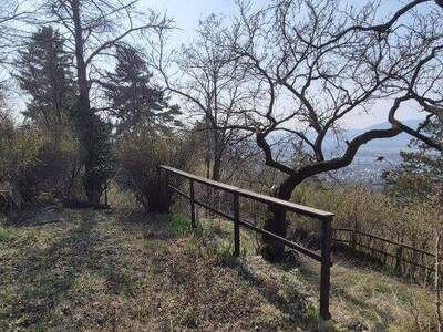 Grundstück kaufen in 2103 Langenzersdorf (Bild 4)