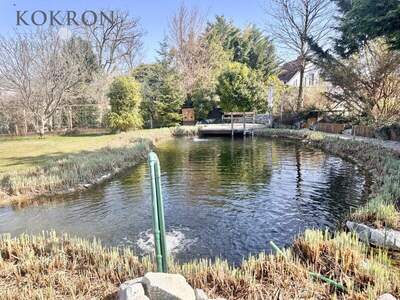 Einfamilienhaus kaufen in 2440 Gramatneusiedl (Bild 4)