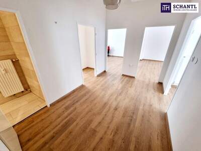 Wohnung kaufen in 1010 Wien (Bild 4)