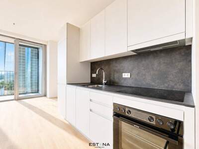 Wohnung mieten in 1220 Wien