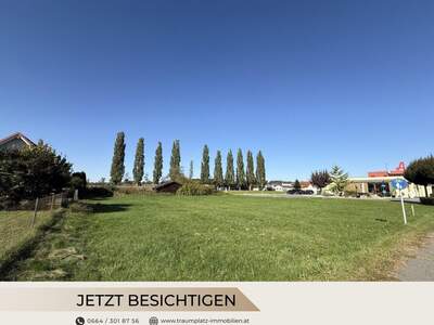 Grundstück kaufen in 8431 Gralla (Bild 1)