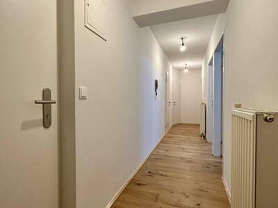 Wohnung mieten in 2542 Kottingbrunn