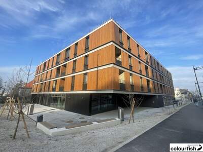 Gewerbeobjekt mieten in 2340 Mödling (Bild 1)