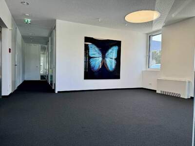 Gewerbeobjekt mieten in 6833 Weiler