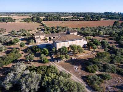 Immobilie kaufen in 7620 Llucmajor (Bild 1)