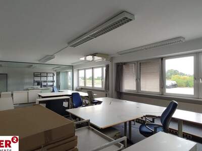 Gewerbeobjekt mieten in 4063 Hörsching (Bild 4)